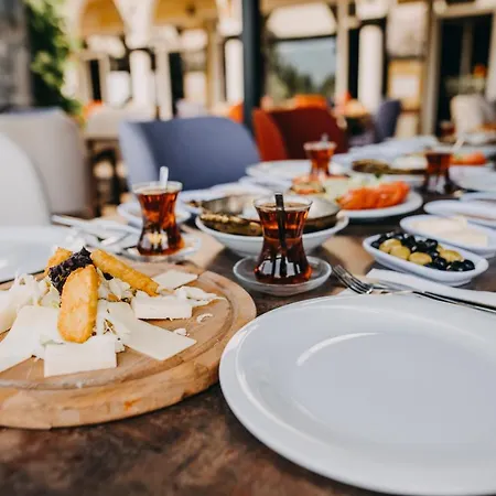 Отель Ege Palace Simav