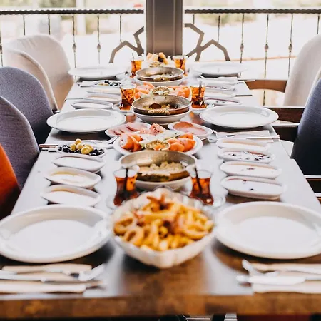 Ege Palace Отель Simav