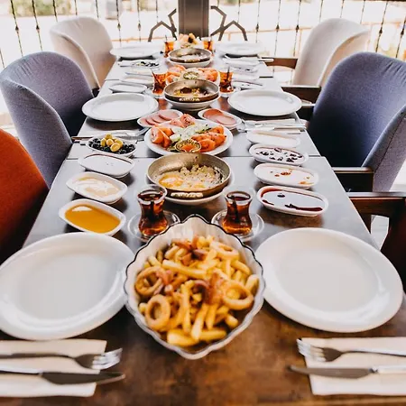 Отель Ege Palace Simav