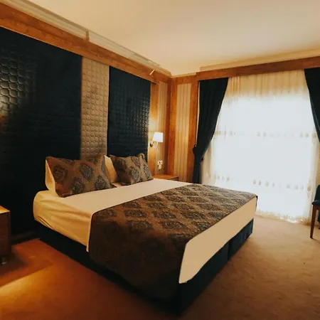 Отель Ege Palace Simav