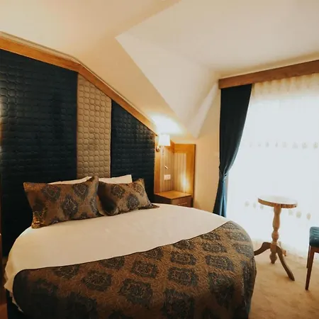 Ege Palace 4* Simav